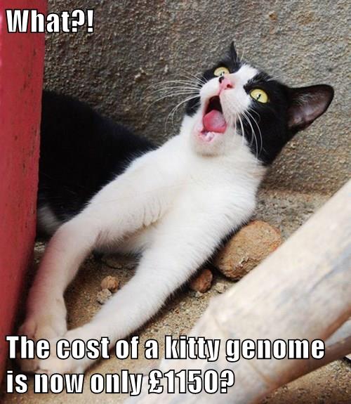 Shock genome price drop!